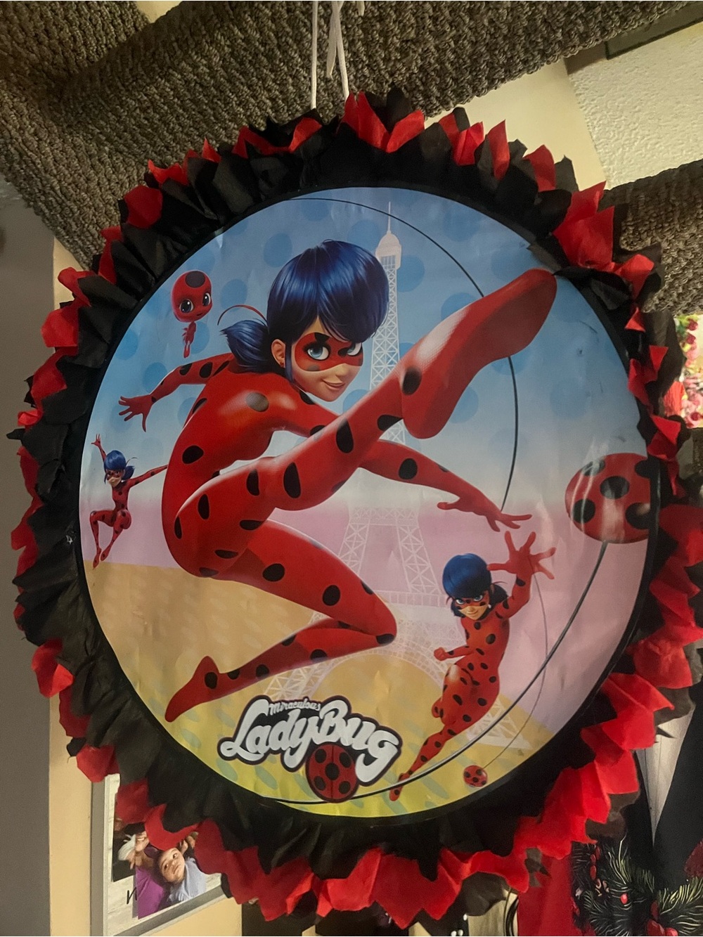 Hand Crafted Red and Black Ladybug Superhero Character Design Party decor - Picture 2 of 5